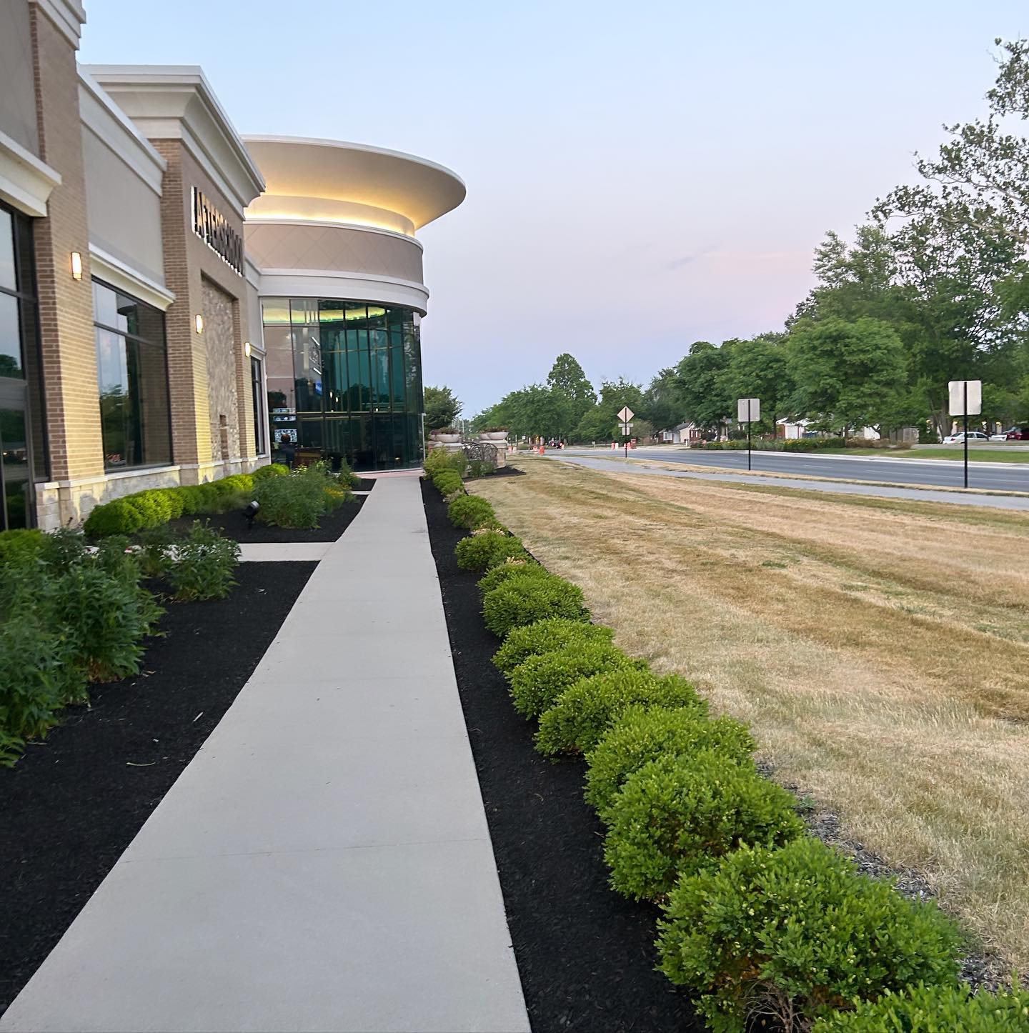 Commercial property walkway landscaping at dusk