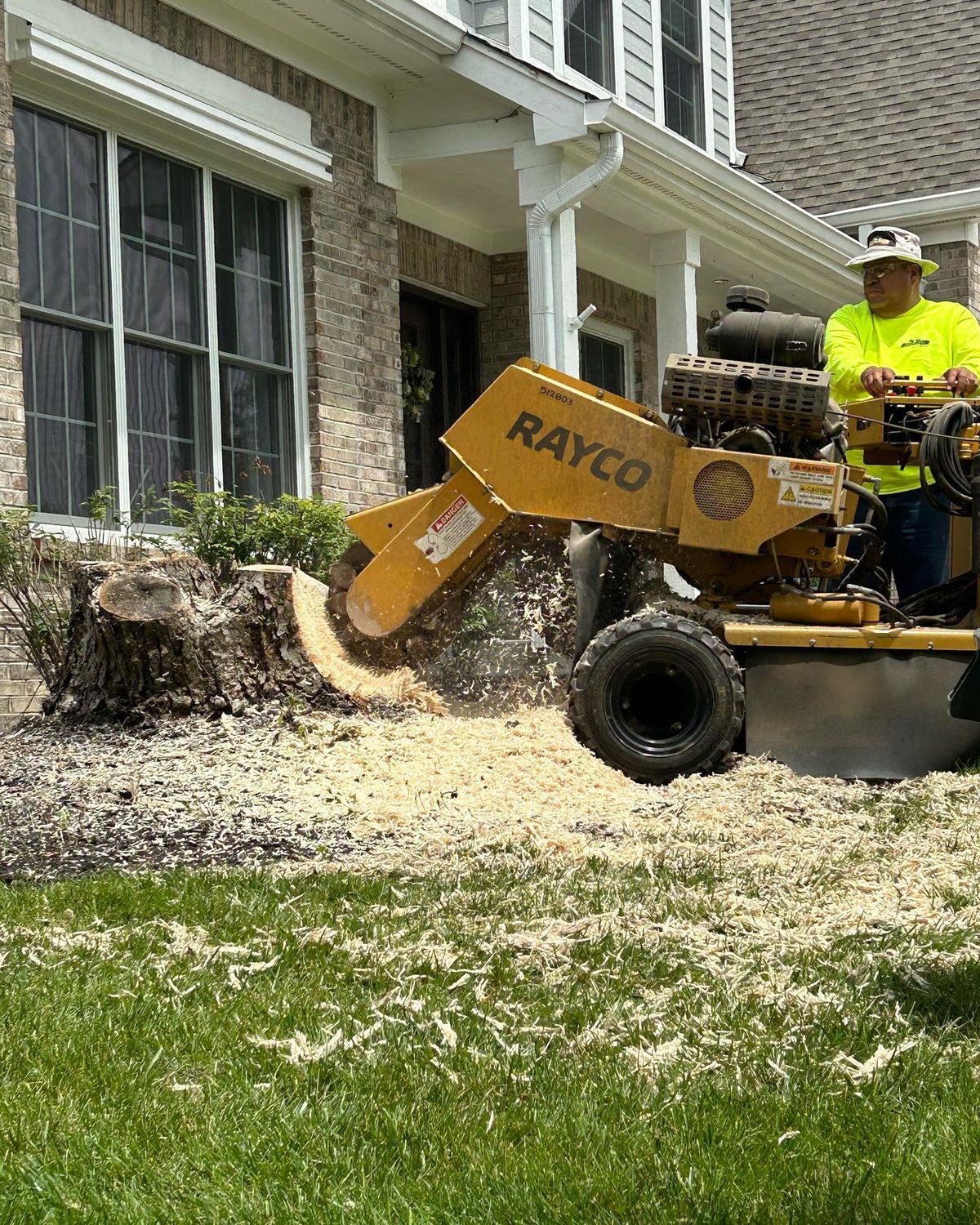 Stump removal at Indianapolis residence